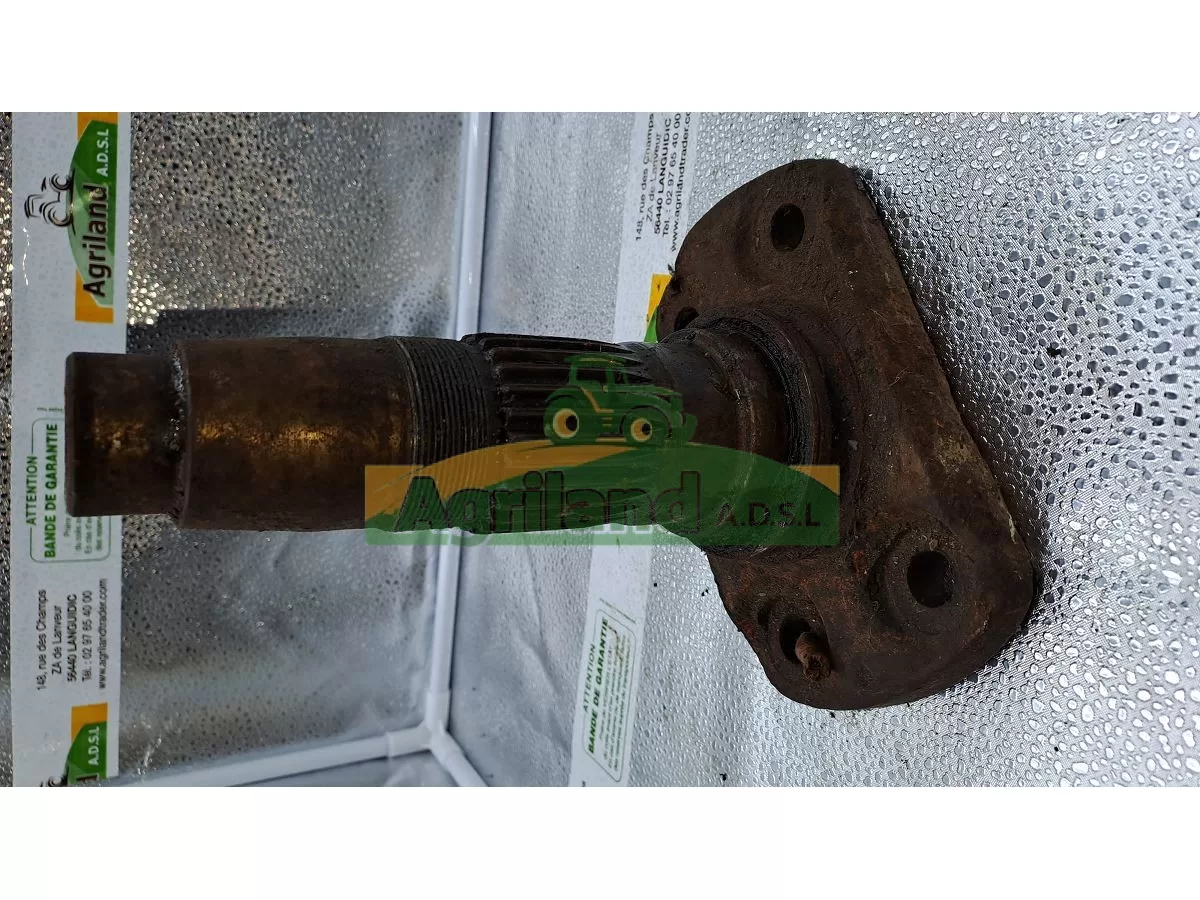 PORTE DENT MASCHIO DM (RECTANGLE) LP : 1734