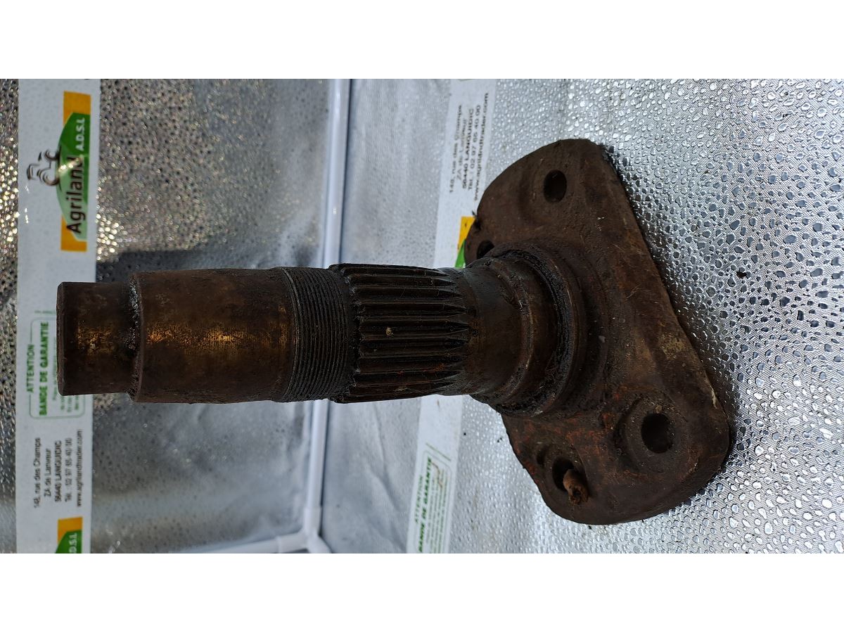 PORTE DENT MASCHIO DM (RECTANGLE) LP : 1734