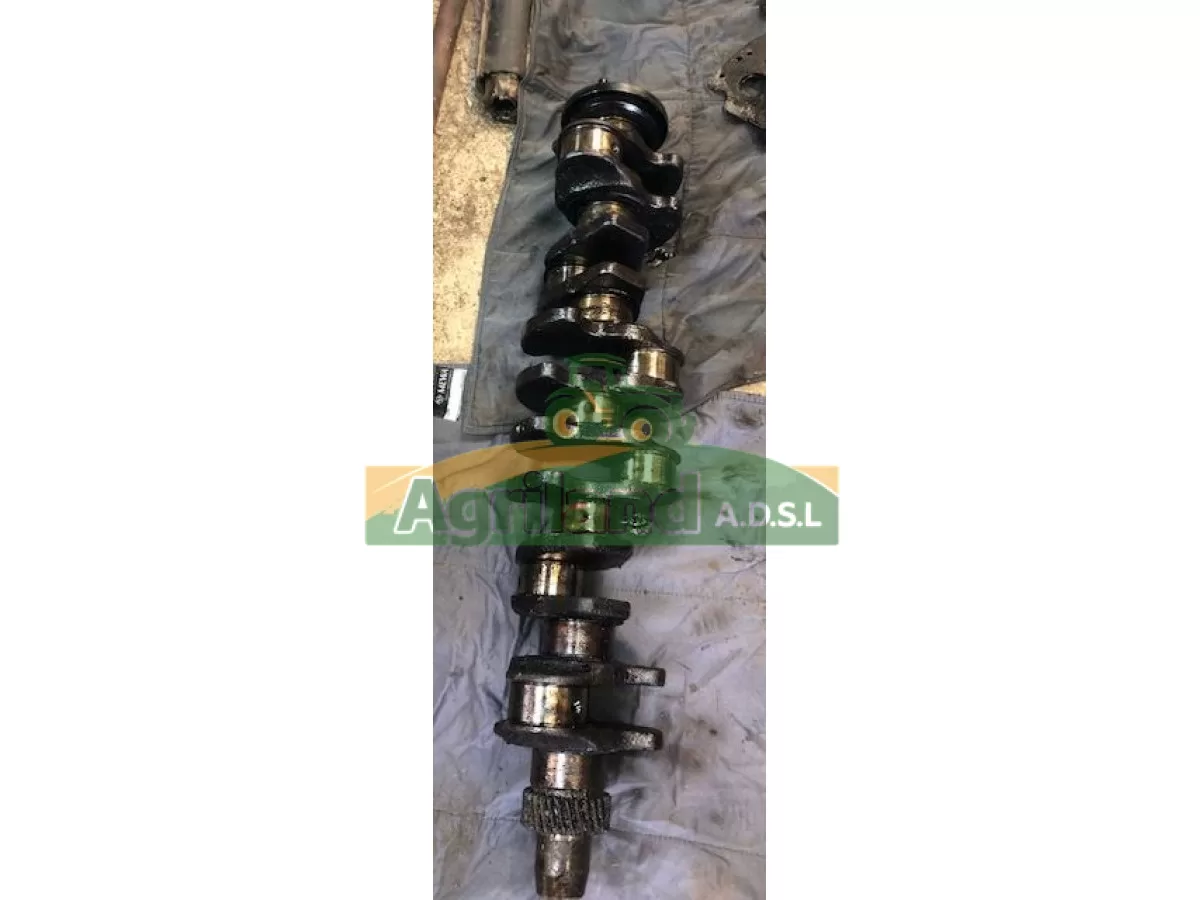 VILEBREQUIN LP : 1854