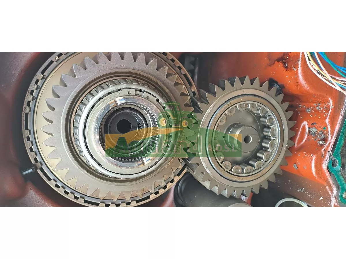 ARBRE PIGNON LP : 1854