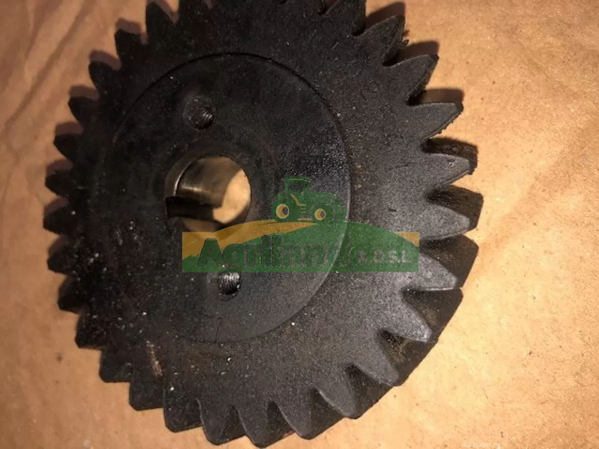 PIGNON POMPE INJECTION Z 30 LP : 1860