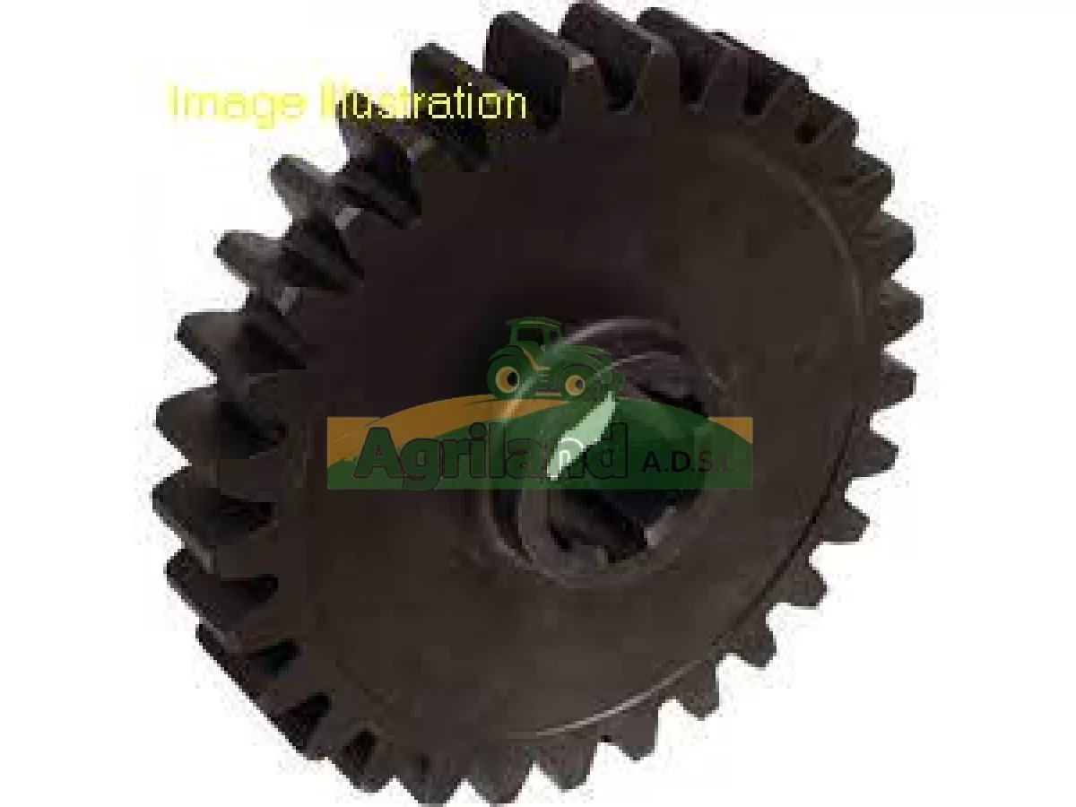 ENGRENAGE A PIGNON Z29 LP : 564