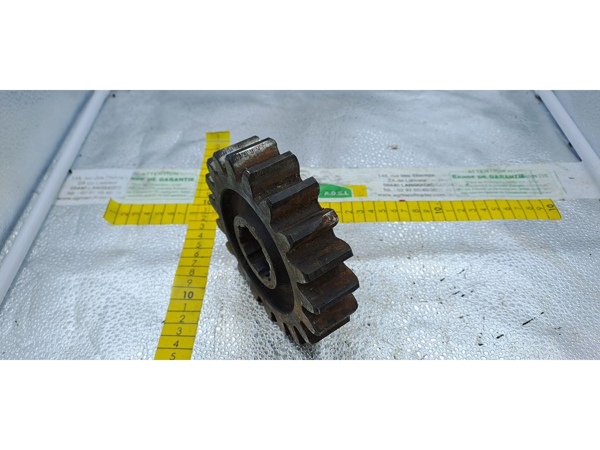 PIGNON Z19 LP : 1475