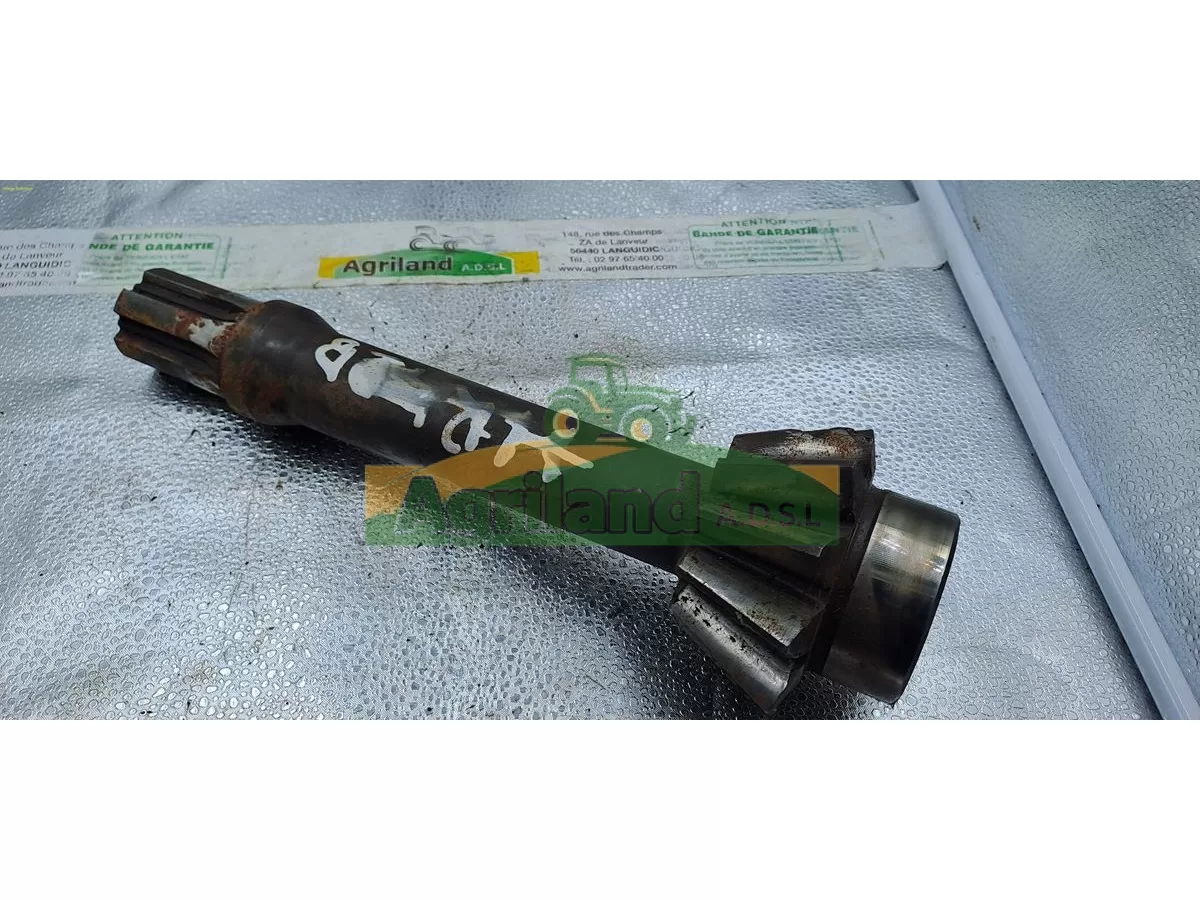 ARBRE SECONDAIRE  LP : 1887