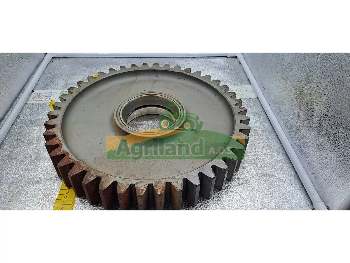 PIGNON Z42 LP : 1238