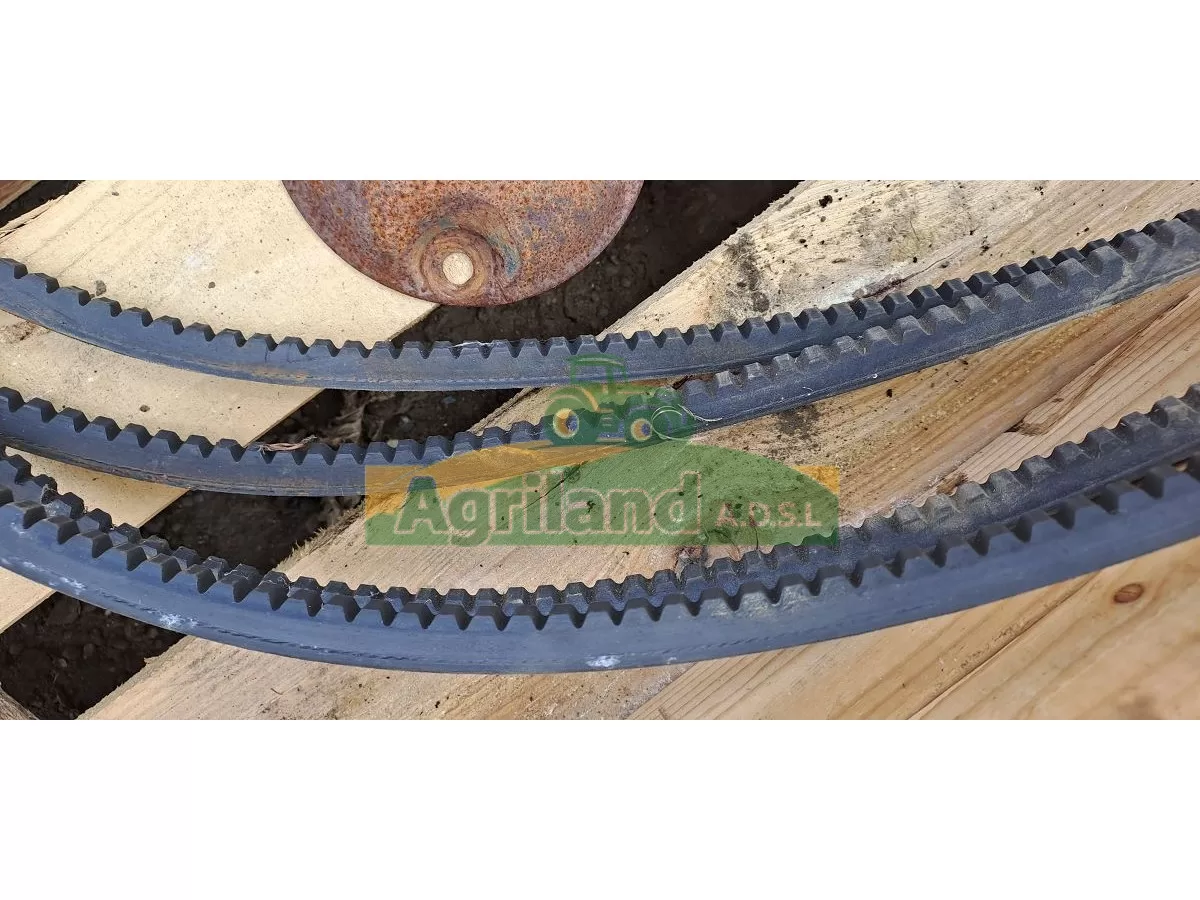 COURROIES 17 X 2600 LP : 1834