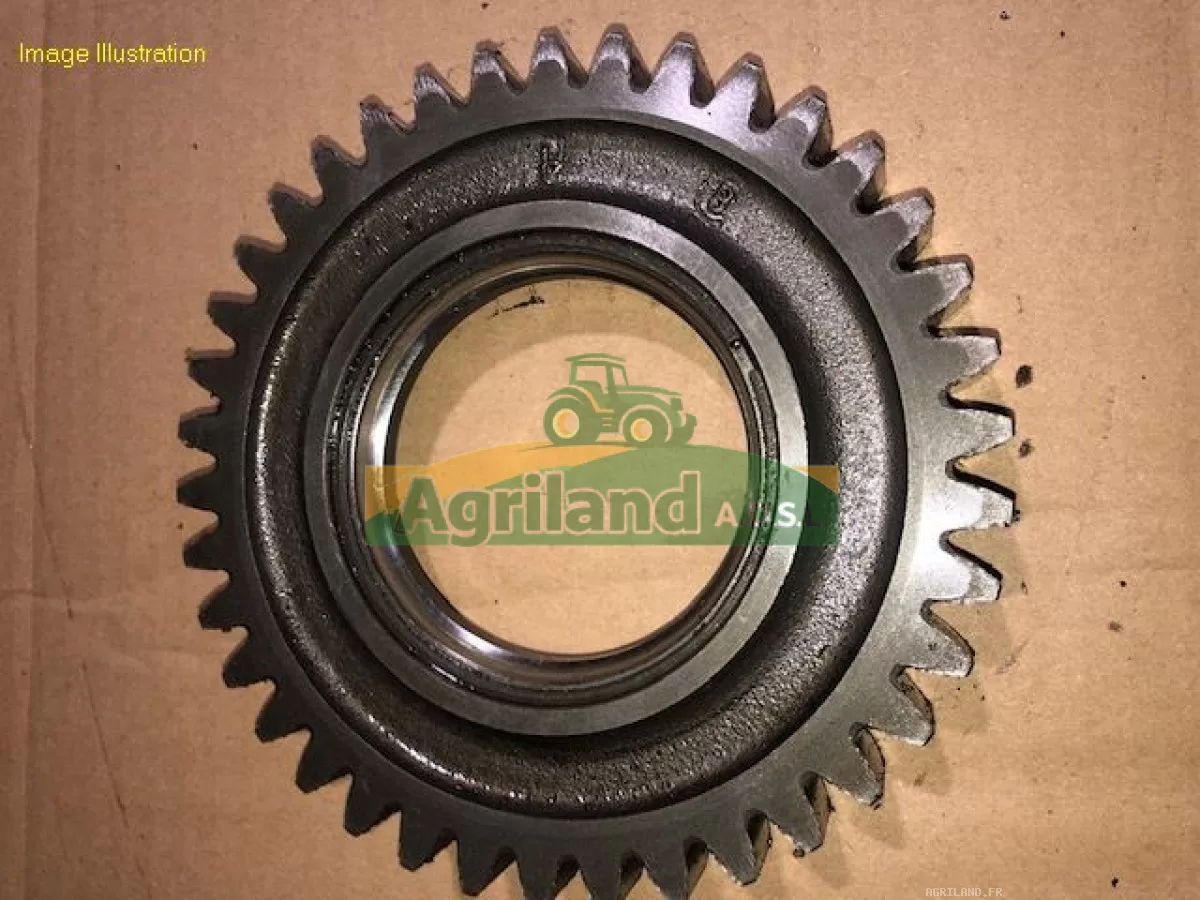 PIGNON INTERMEDIAIRE DE LAMIER Z38