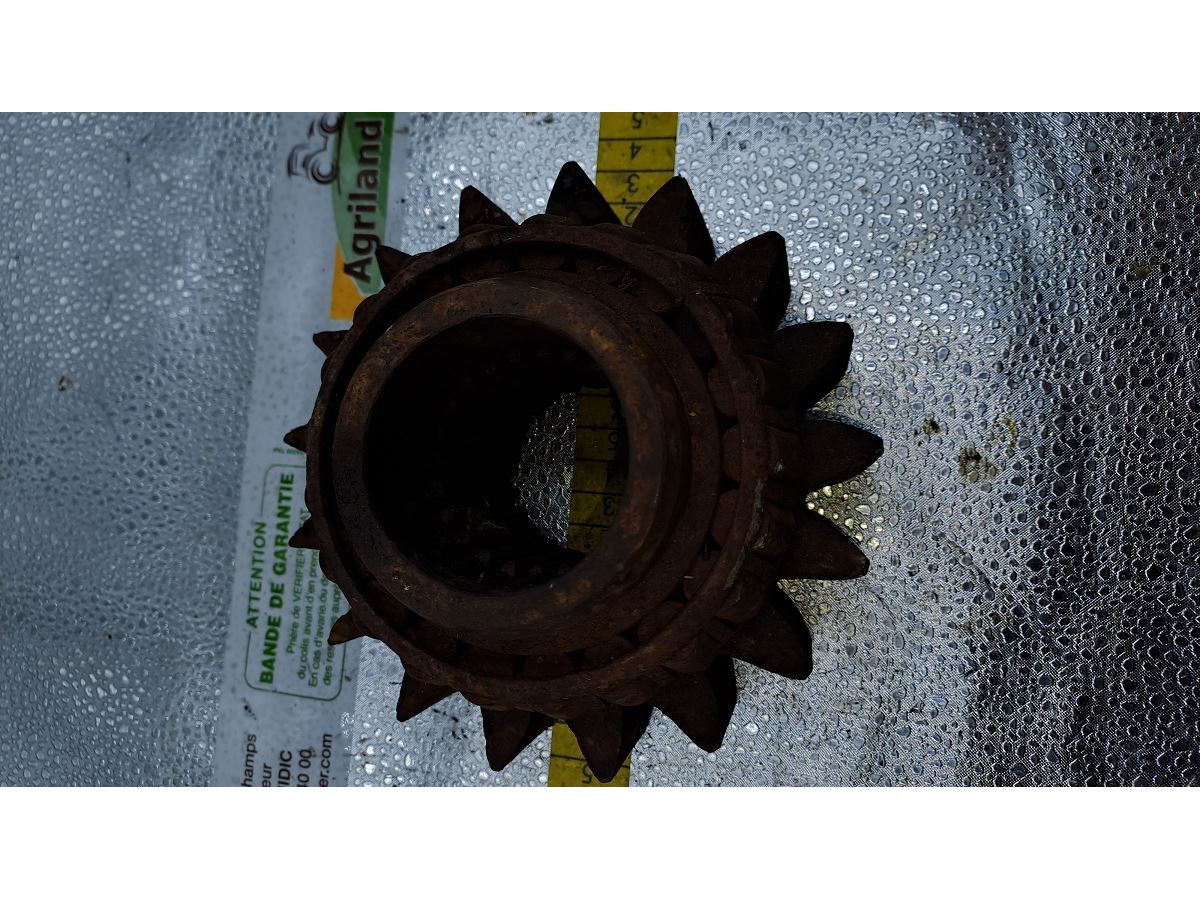 PIGNON D ENTRAINEMENT Z17