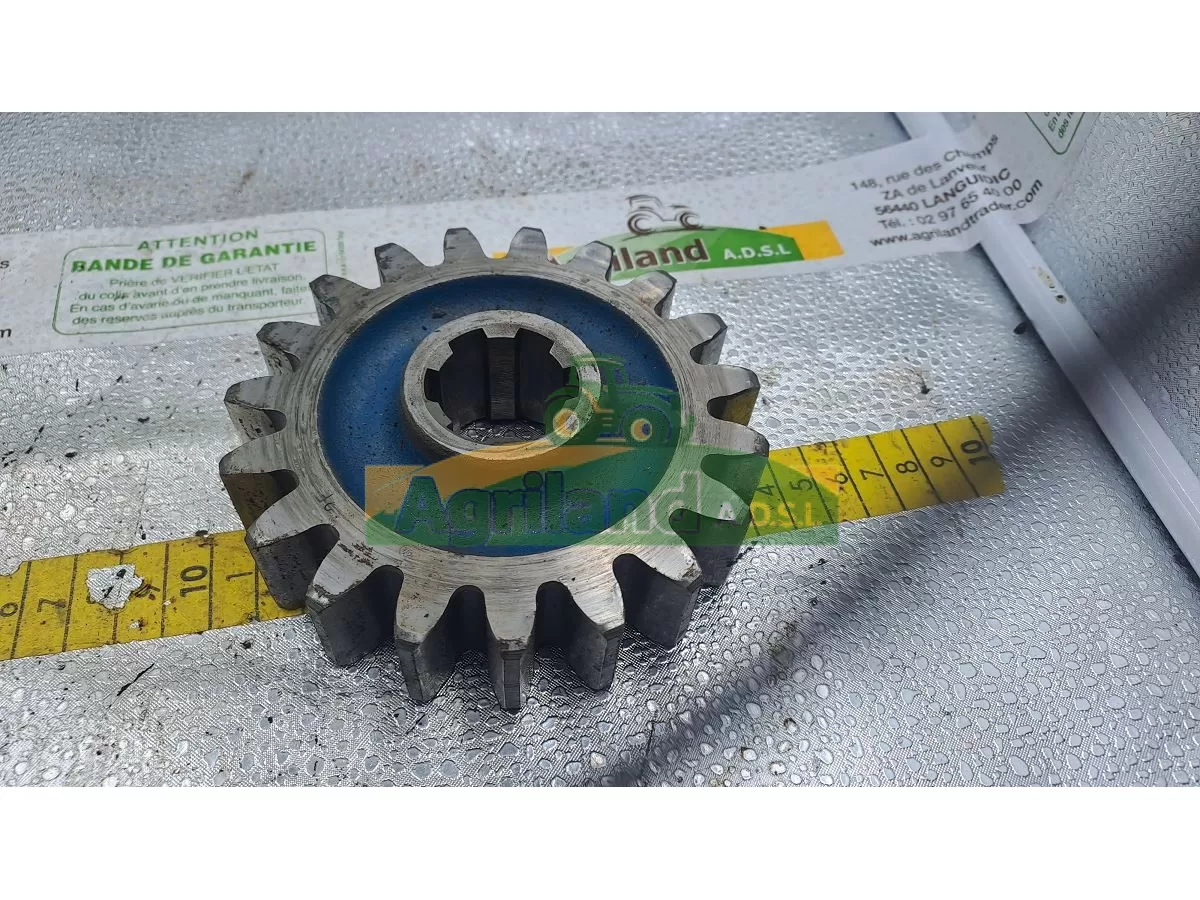 PIGNON Z19