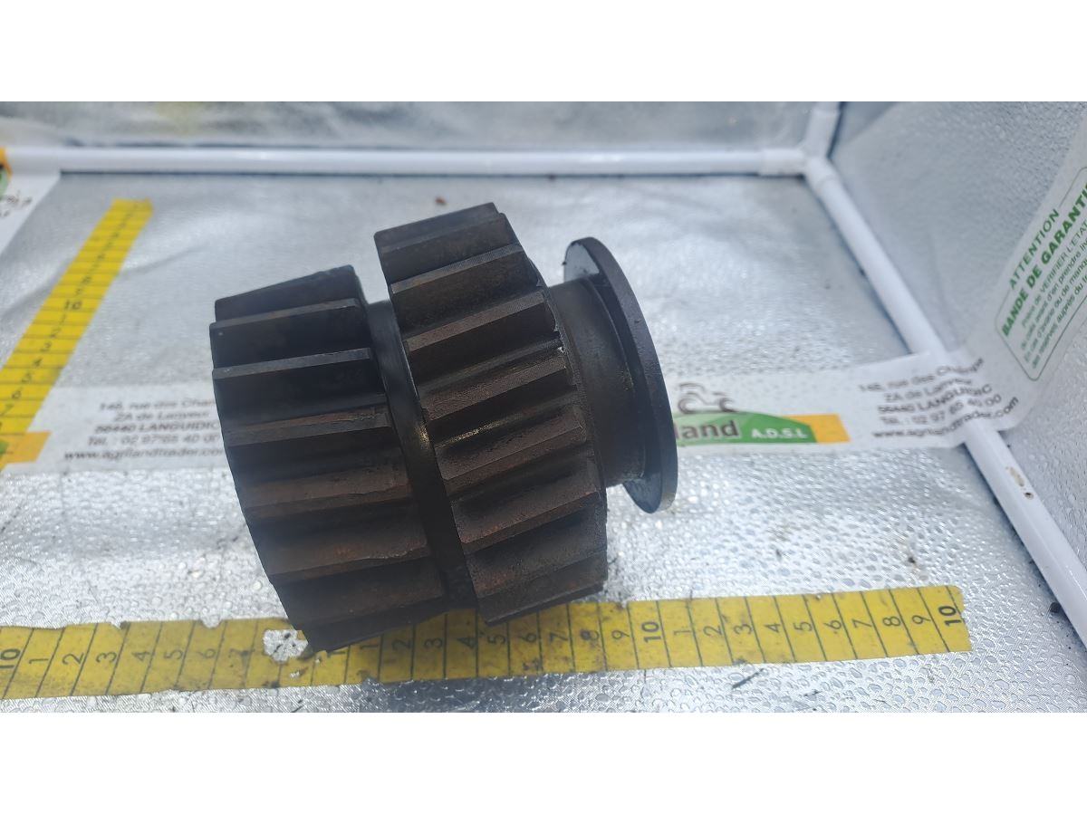 PIGNON DOUBLE Z19/Z22