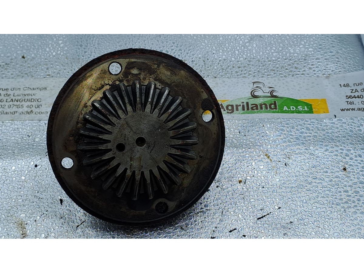 PIGNON Z23 DIAM SUR FILET =18