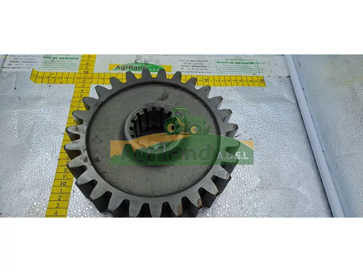 PIGNON INFERIEURE Z27 