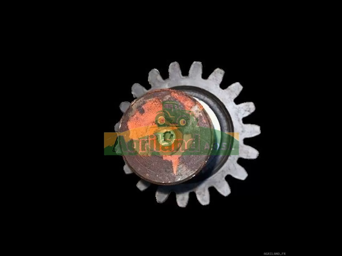 PIGNON Z19 DE PRISE DE FORCE