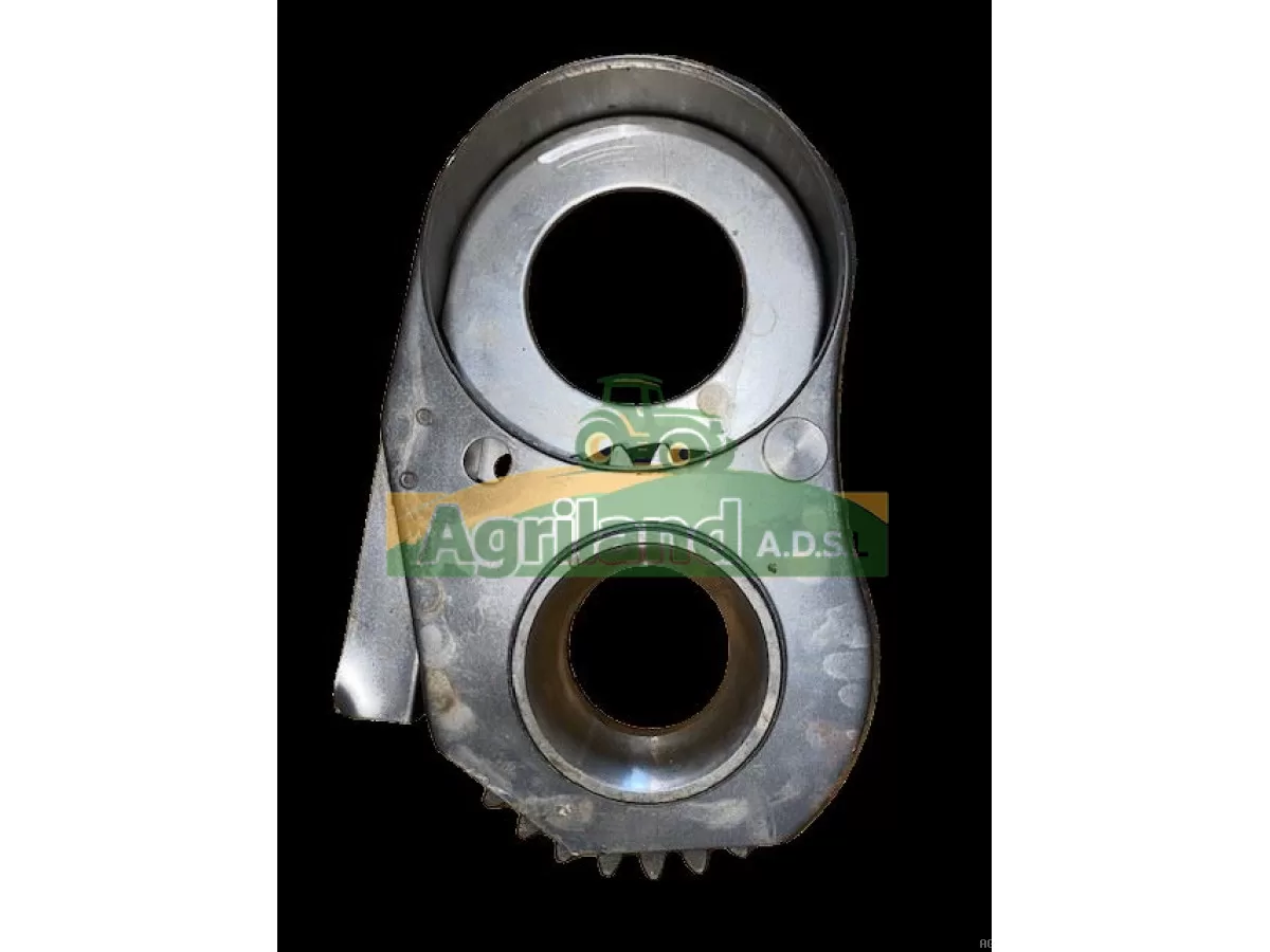 PIGNON Z29 AVEC TOLE 