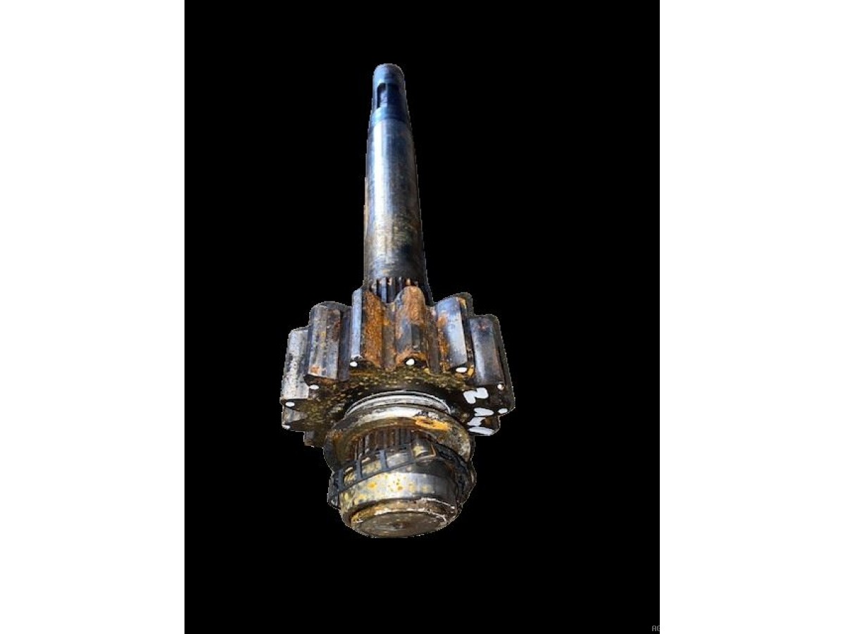 ARBRE D'ENTRAINEMENT 