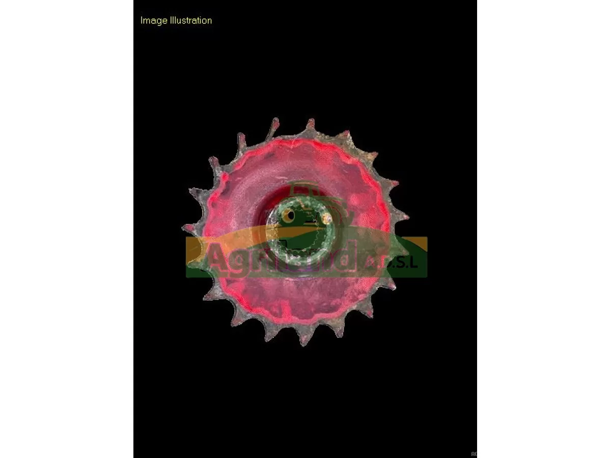 ROUE À CHAINE Z19 MAUVAIS ETAT 