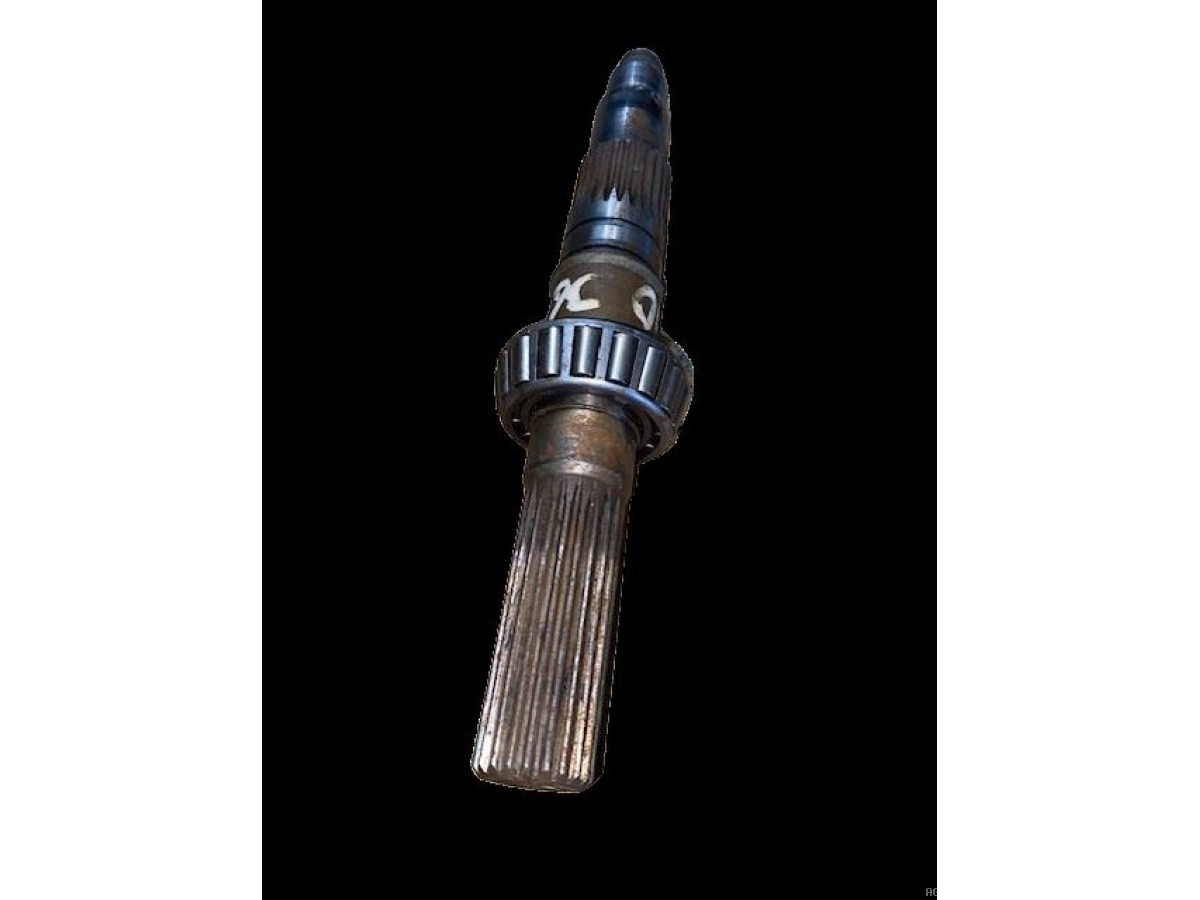 ARBRE D'ENTRAINEMENT 