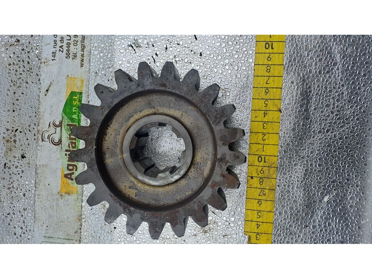 PIGNON Z21