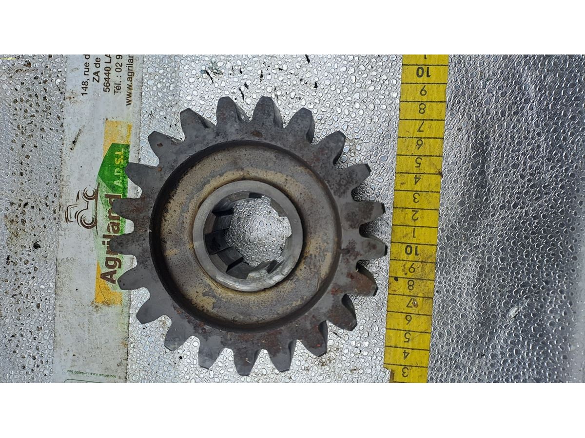PIGNON Z21