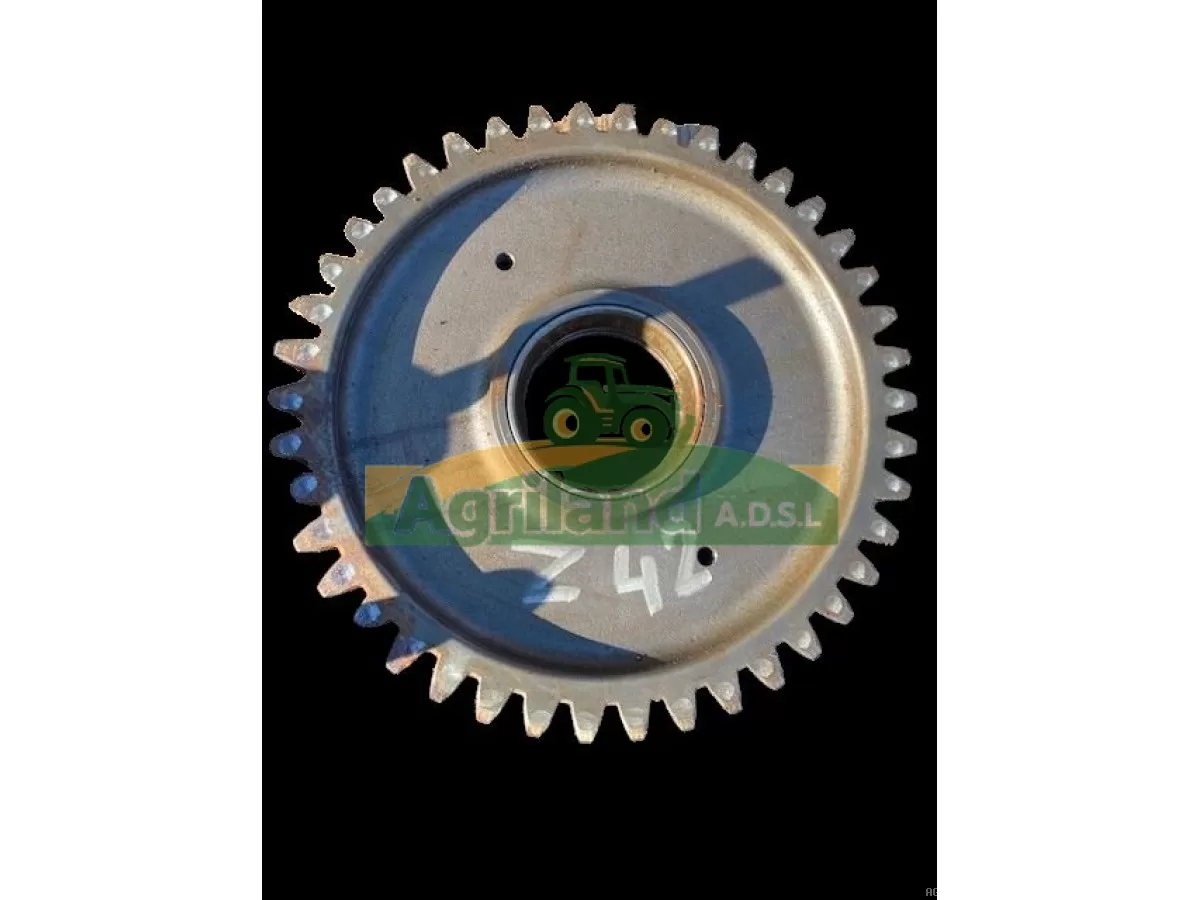 PIGNON Z42 