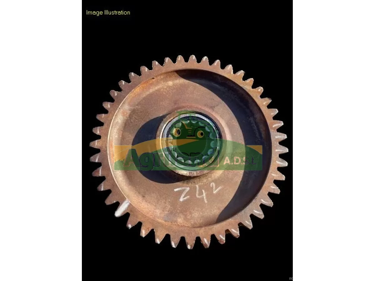 PIGNON Z42 