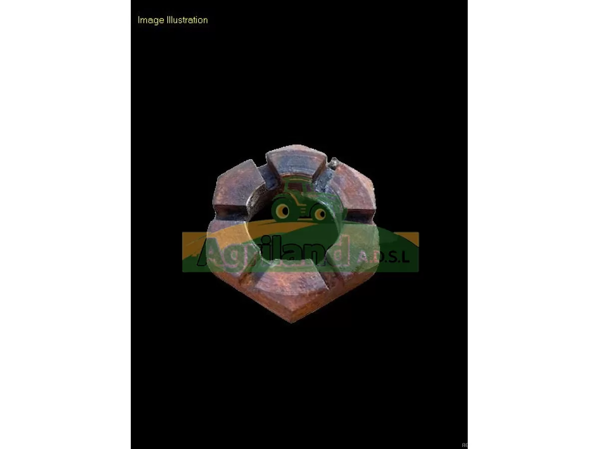 ÉCROU À CRÉNEAUX DÉGAGÉS 