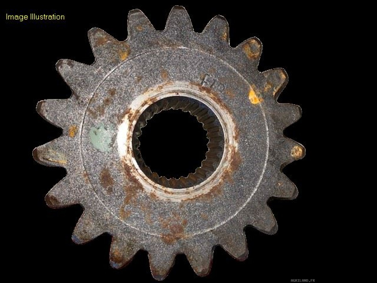 PIGNON DE BOITIER Z19