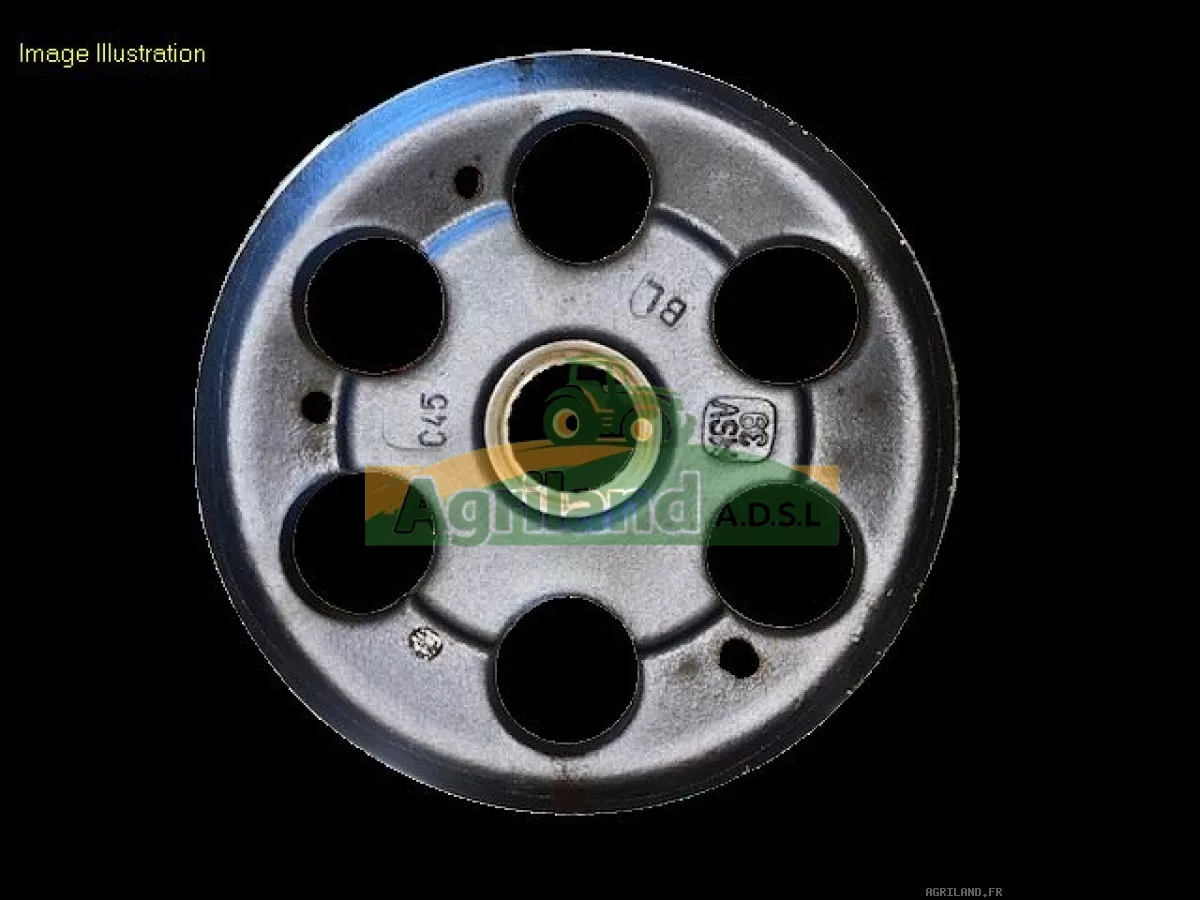 PIGNON LATERAL Z39