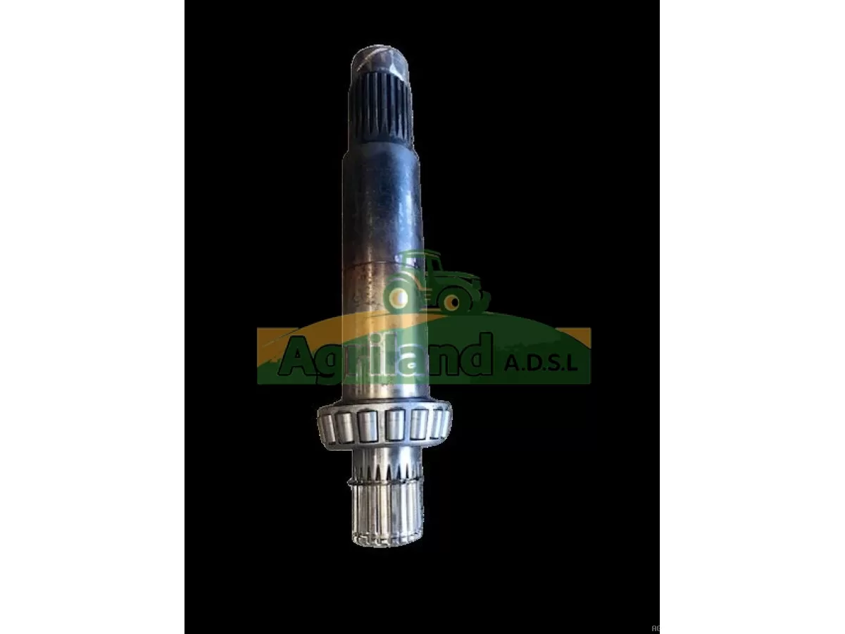 ARBRE PRINCIPAL DE BOITIER