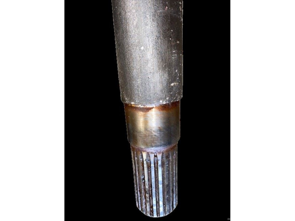 ARBRE DE TROMPETTE ABIMÉ 