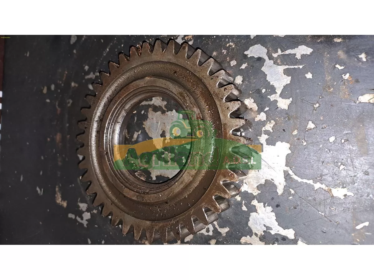 PIGNON INTERMEDIAIRE Z29 