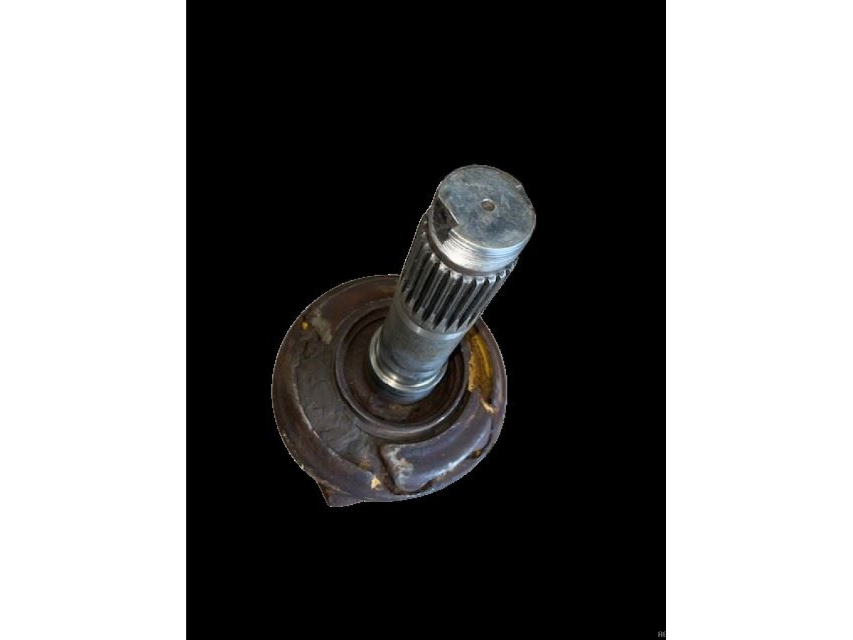 PORTE DENT LATERAL ABIMÉ