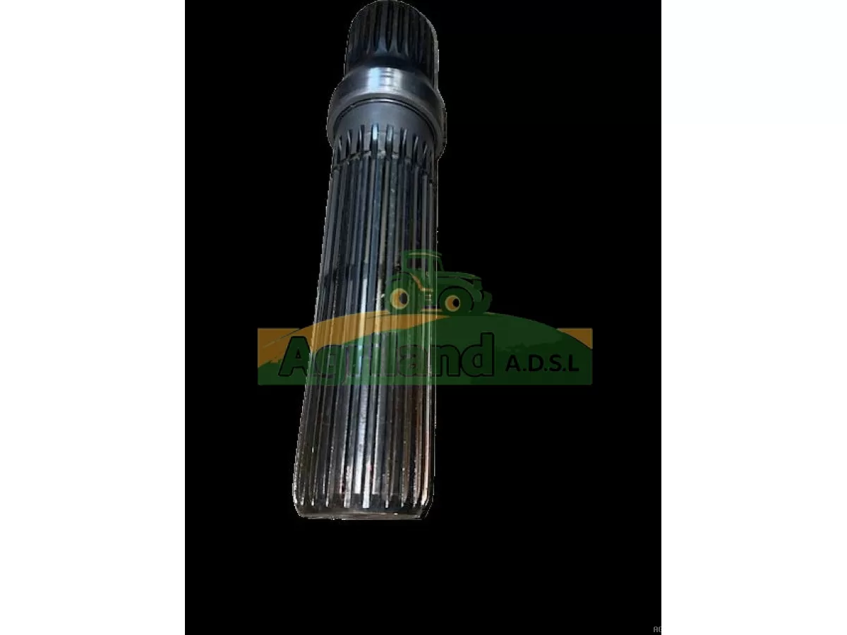 ARBRE CENTRAL HR Z26 