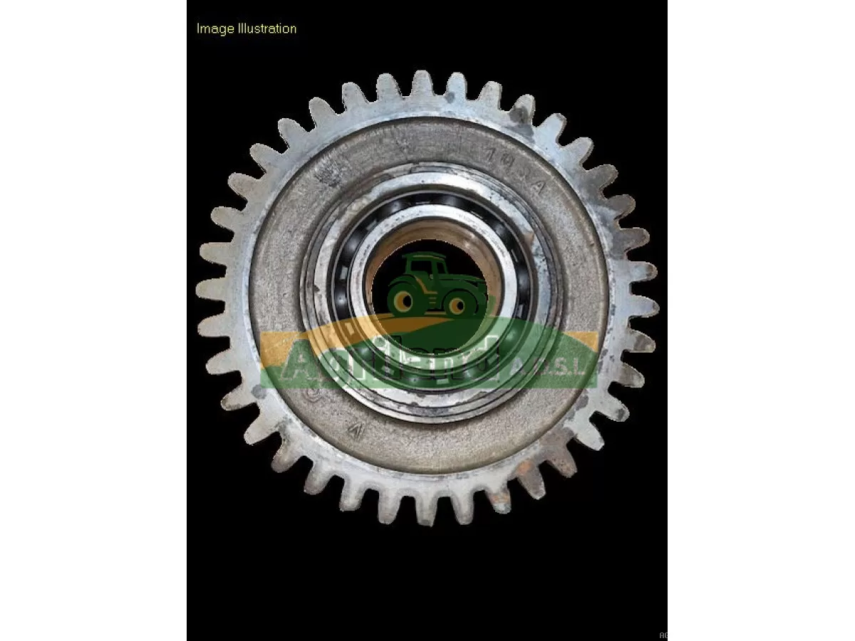 PIGNON INTERMEDIAIRE Z37 SPECIAL SERIE 10 