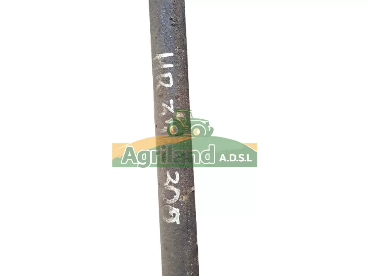 ARBRE LATERAL