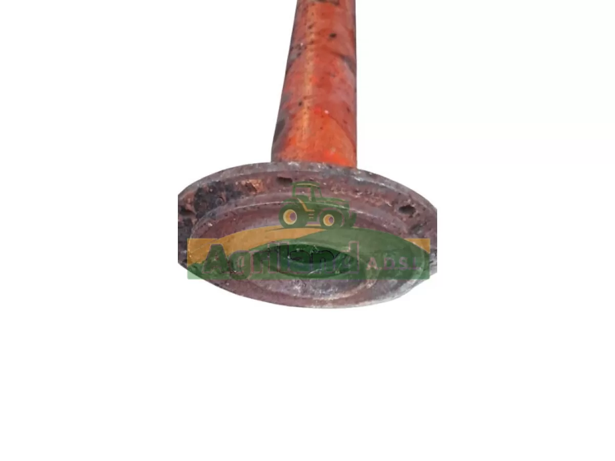 TROMPETTE (COTE ENTRAINEMENT)