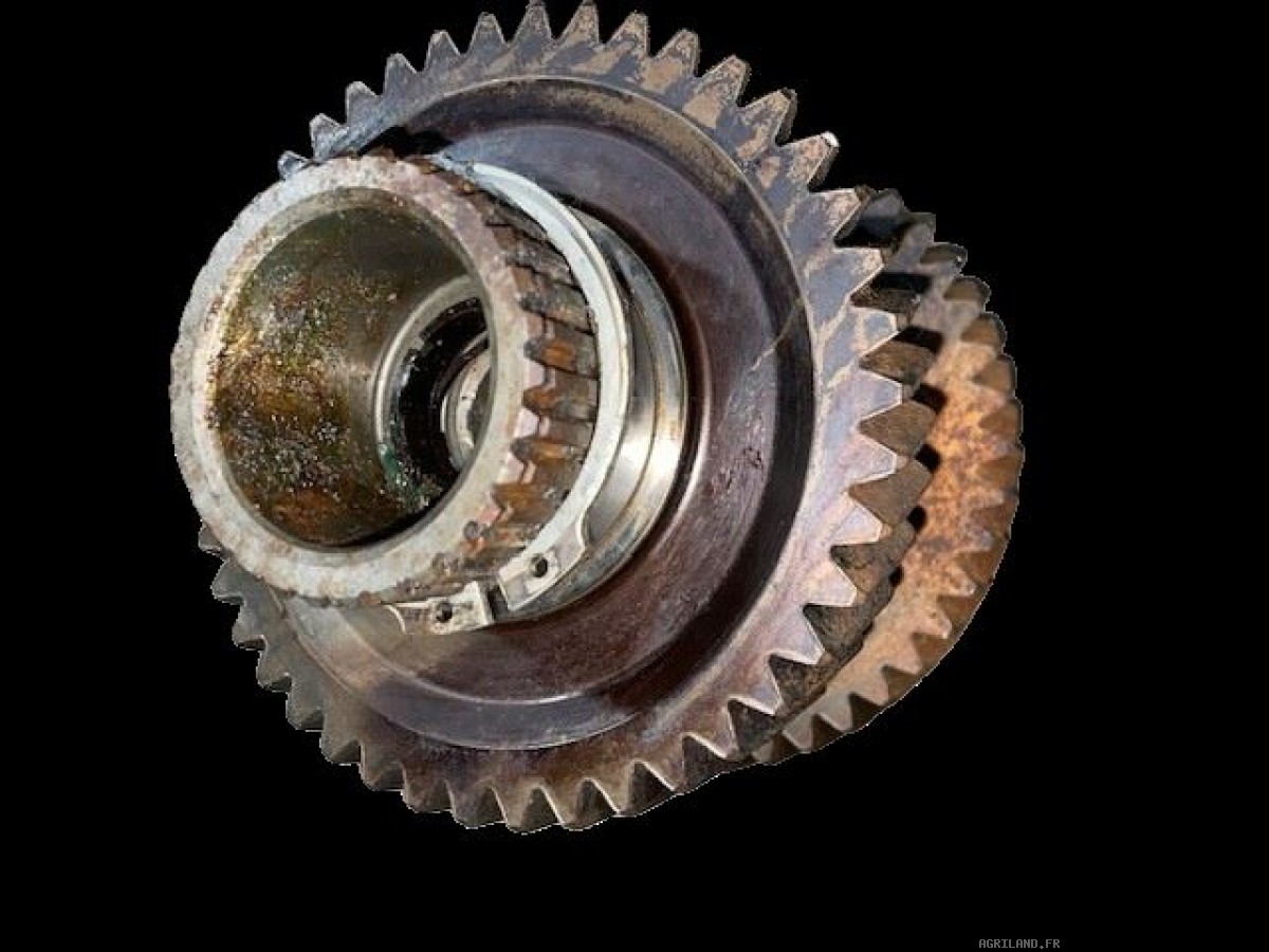 ARBRE D'ENTRAINEMENT 