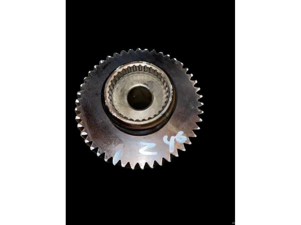 ARBRE D'ENTRAINEMENT 