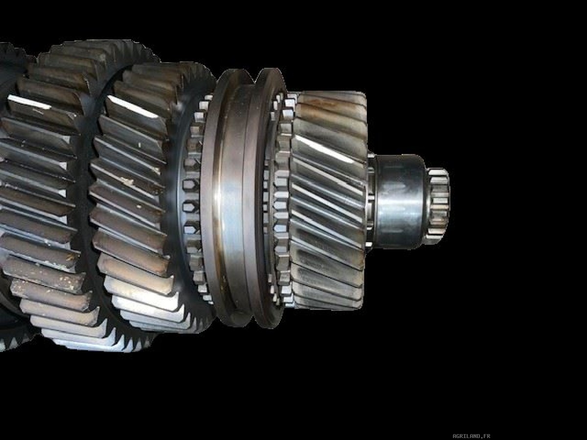 COUPLE CONIQUE ARR  Z9/53 ( AVEC PIG SUR L'ARBRE)