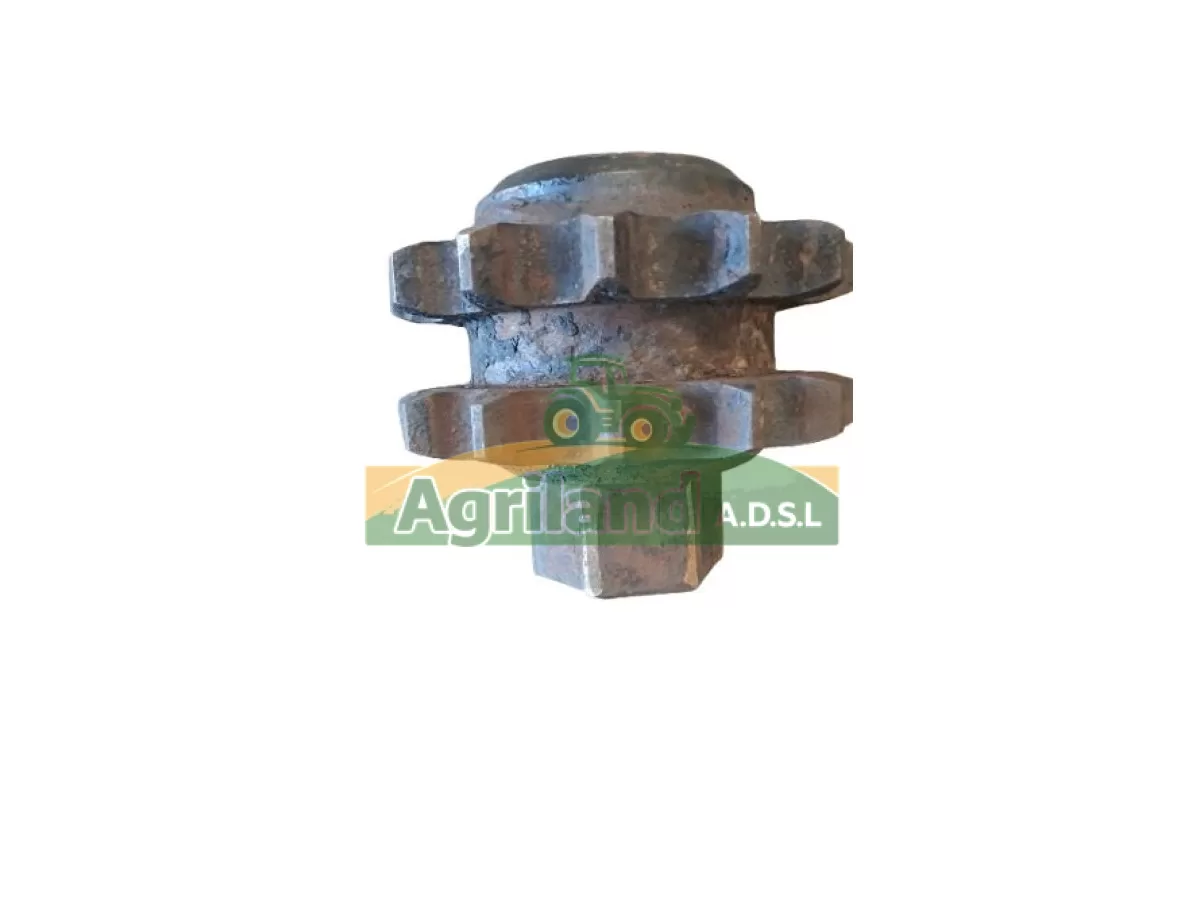 PIGNON DOUBLE Z13/13