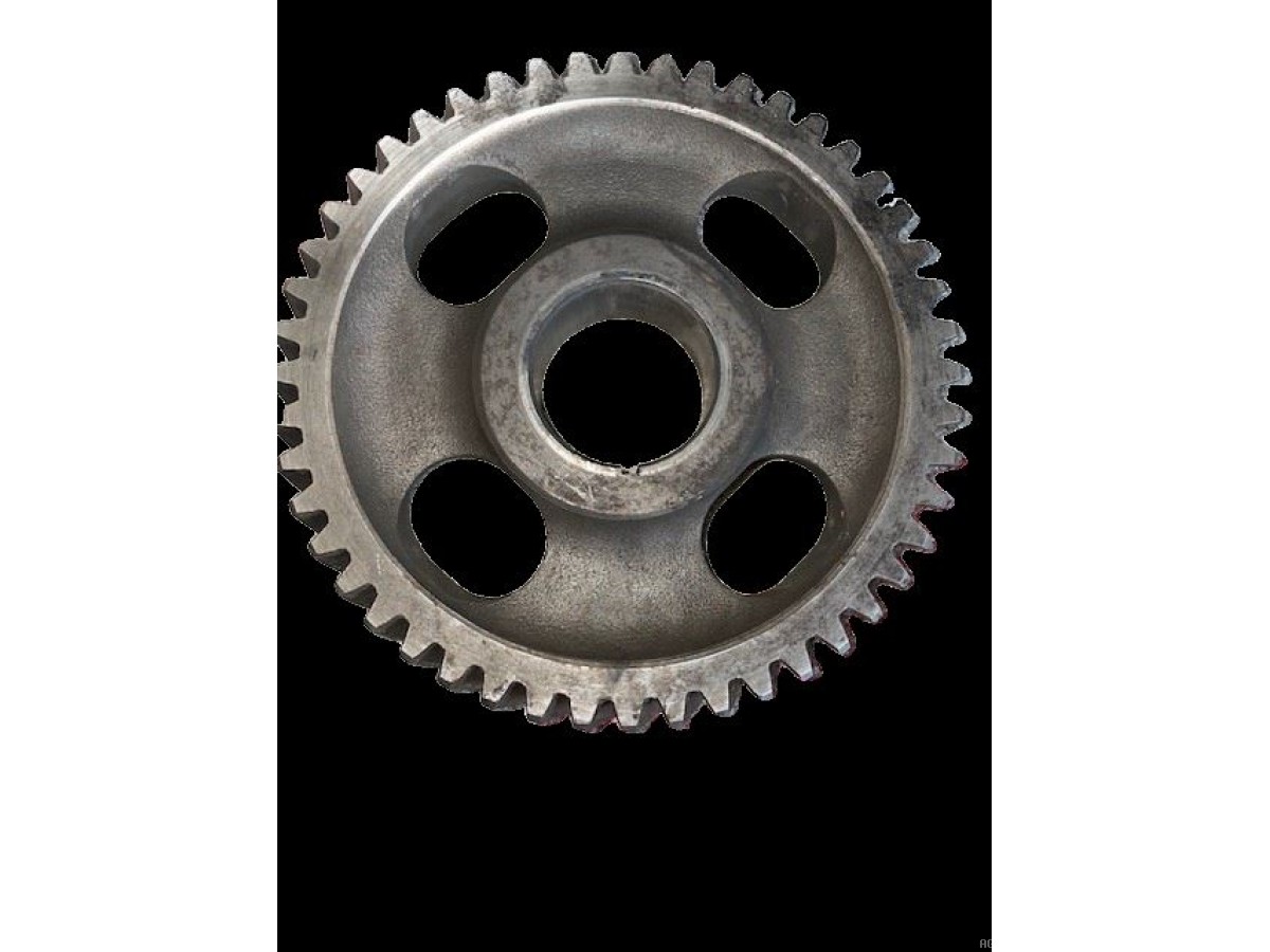 PIGNON Z48 D'ARBRE À CAMES