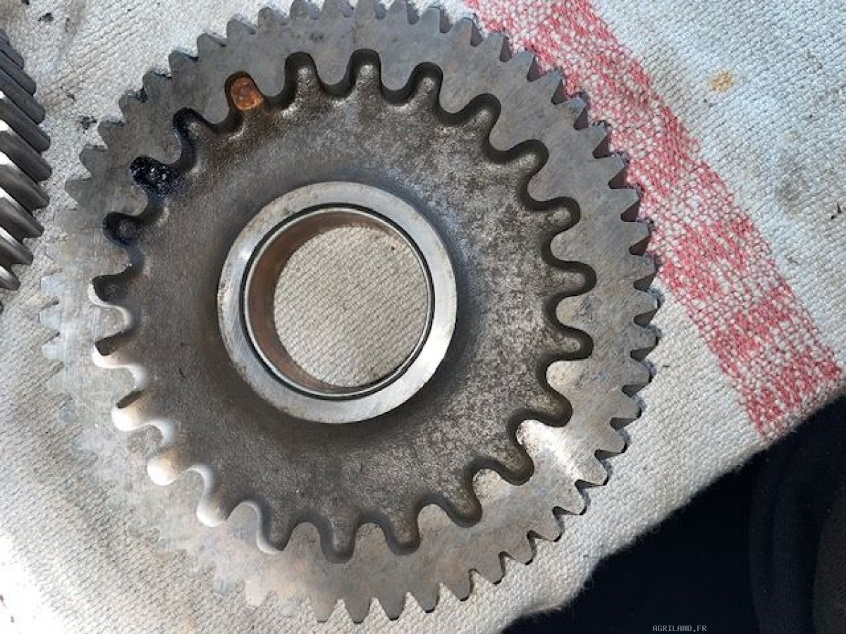 PIGNON DE DISTRIBUTION Z55