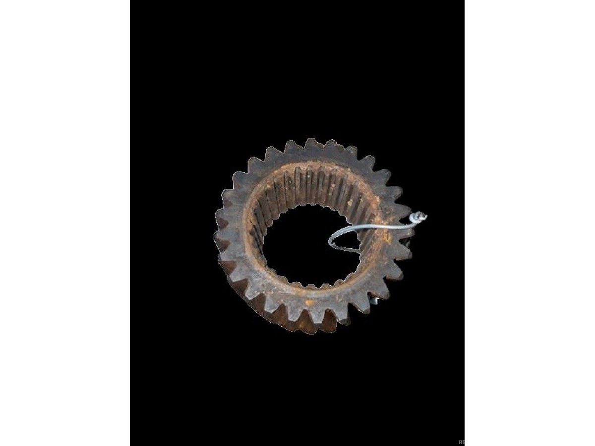 PIGNON Z26 DE L'ARBRE CREUX