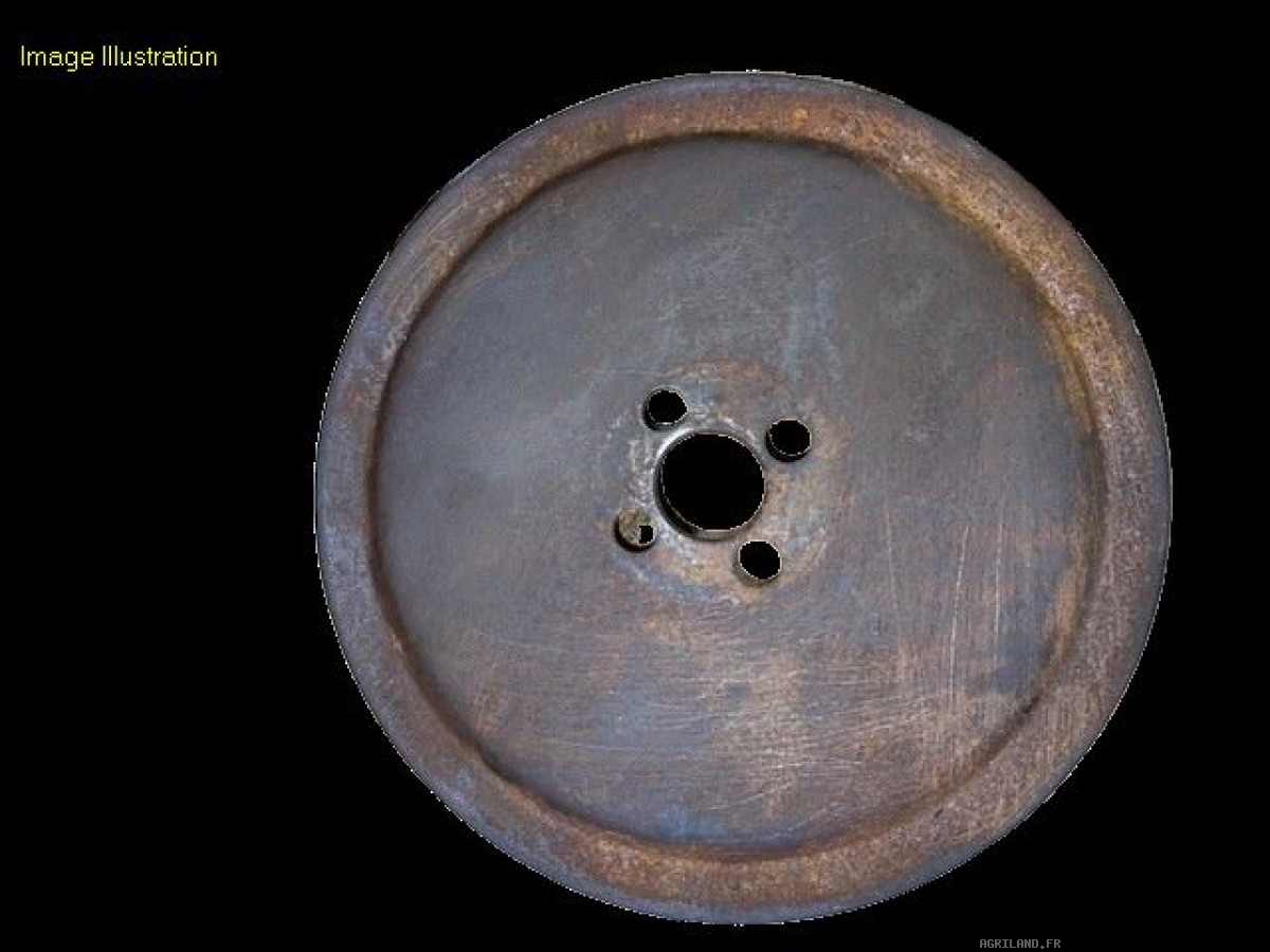 POULIE DE VILEBREQUIN 