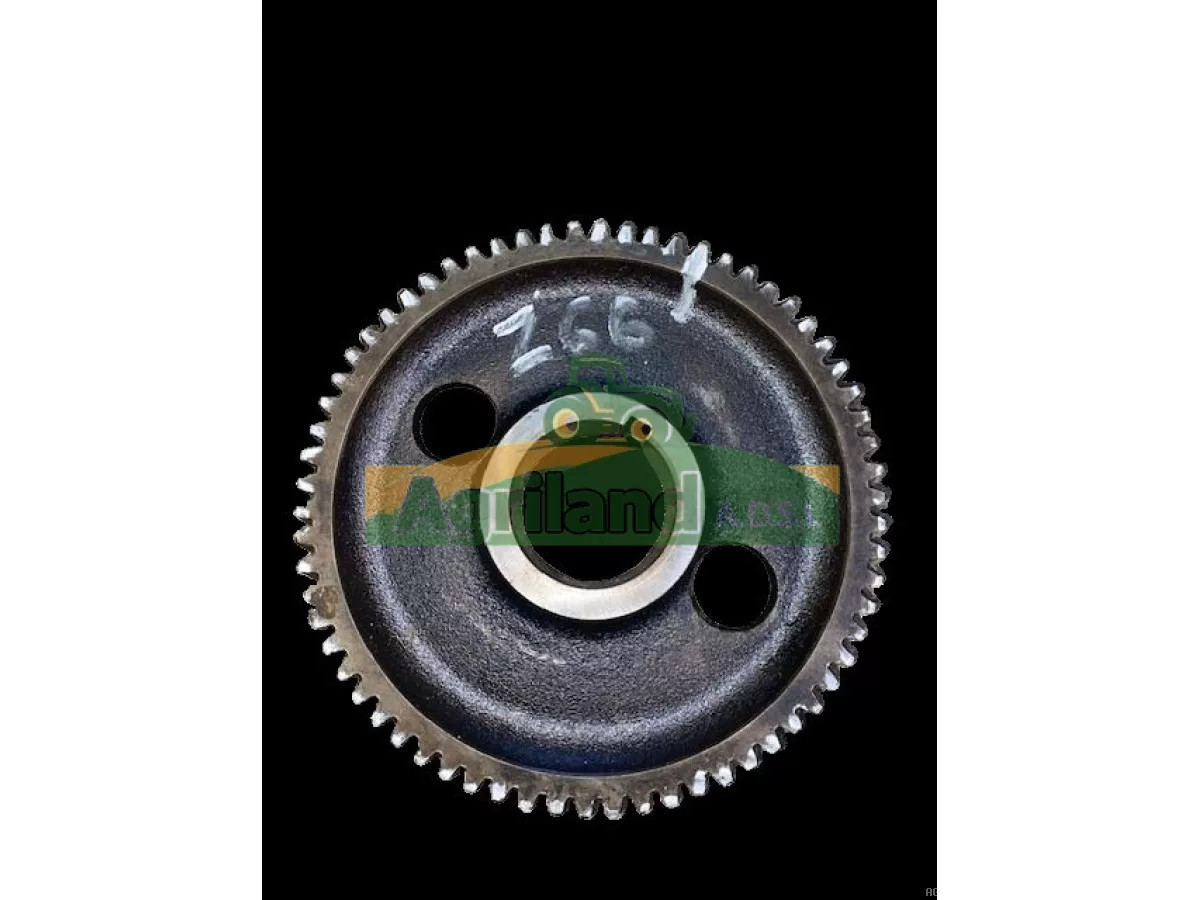 PIGNON Z66 DE L'ARBRE À CAMES