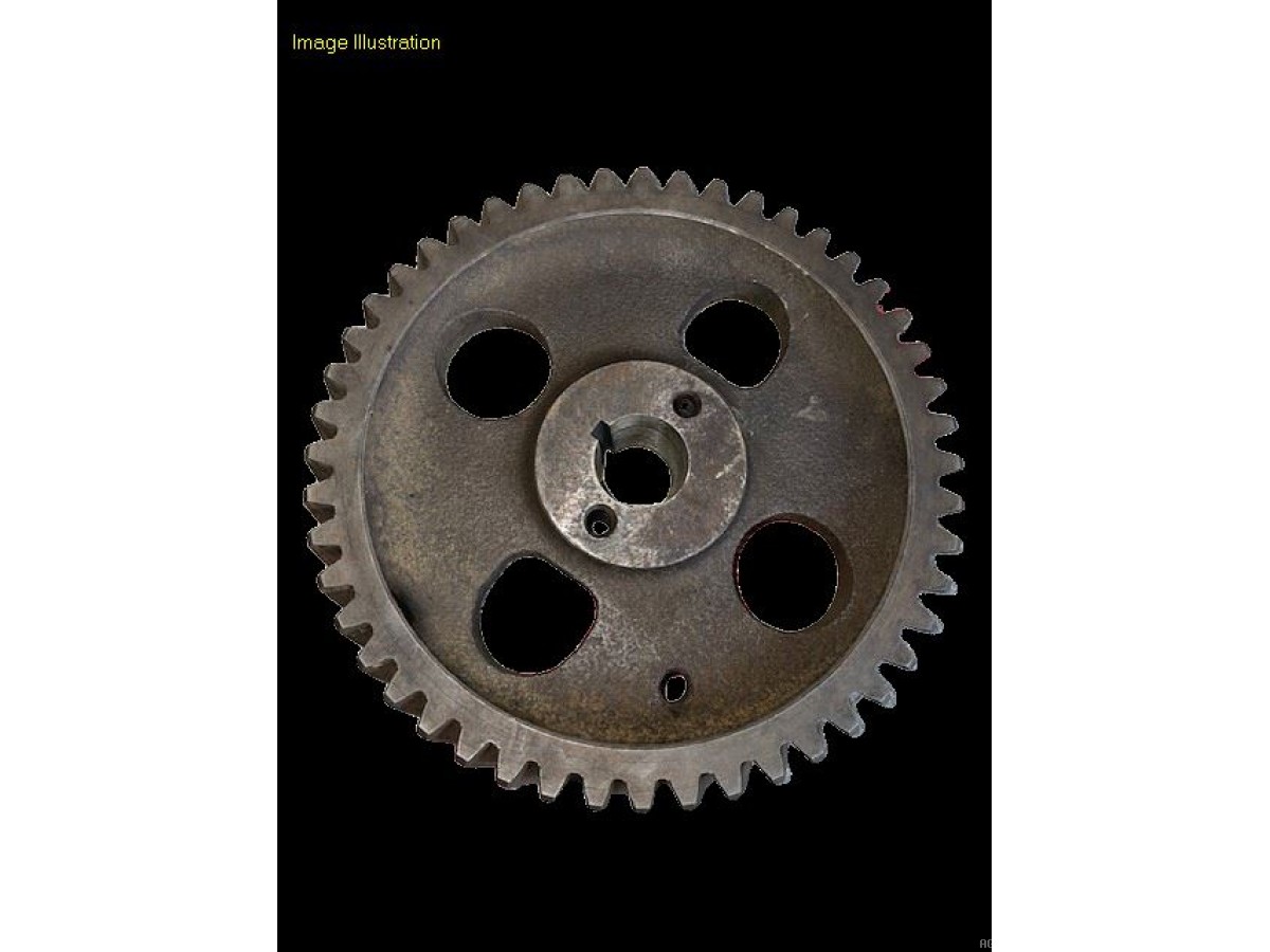 PIGNON DE POMPE INJECTION Z48