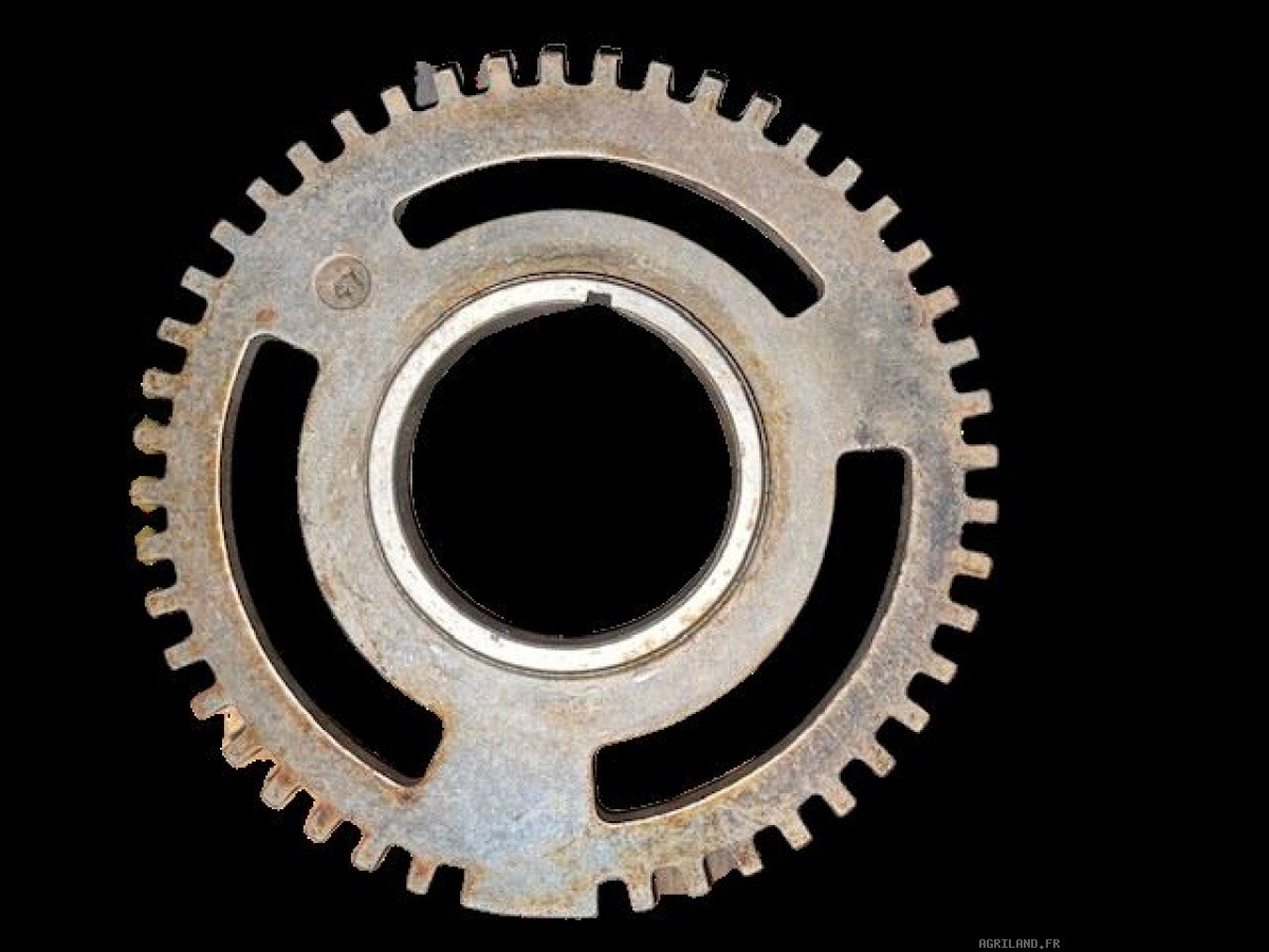PIGNON DE VILEBREQUIN Z47