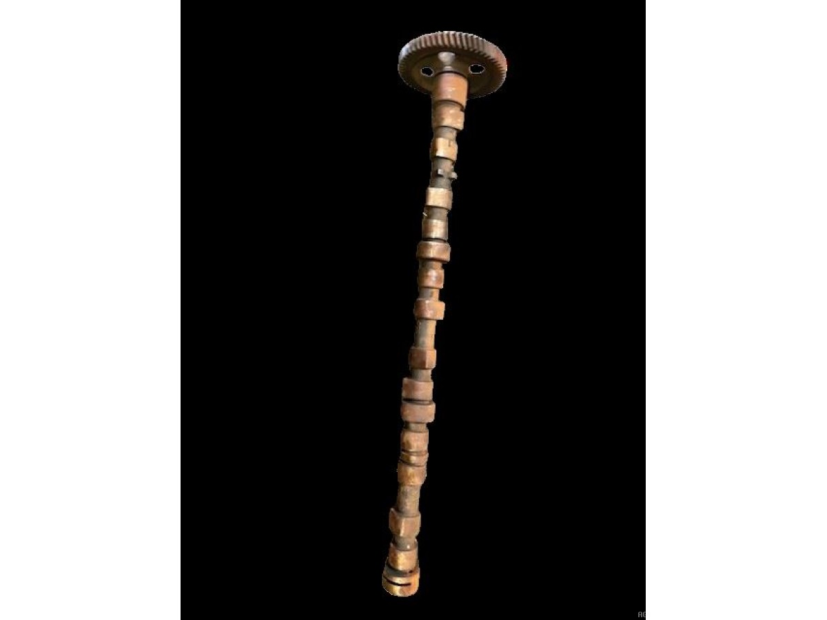 ARBRE À CAMES AVEC PIGNON Z60