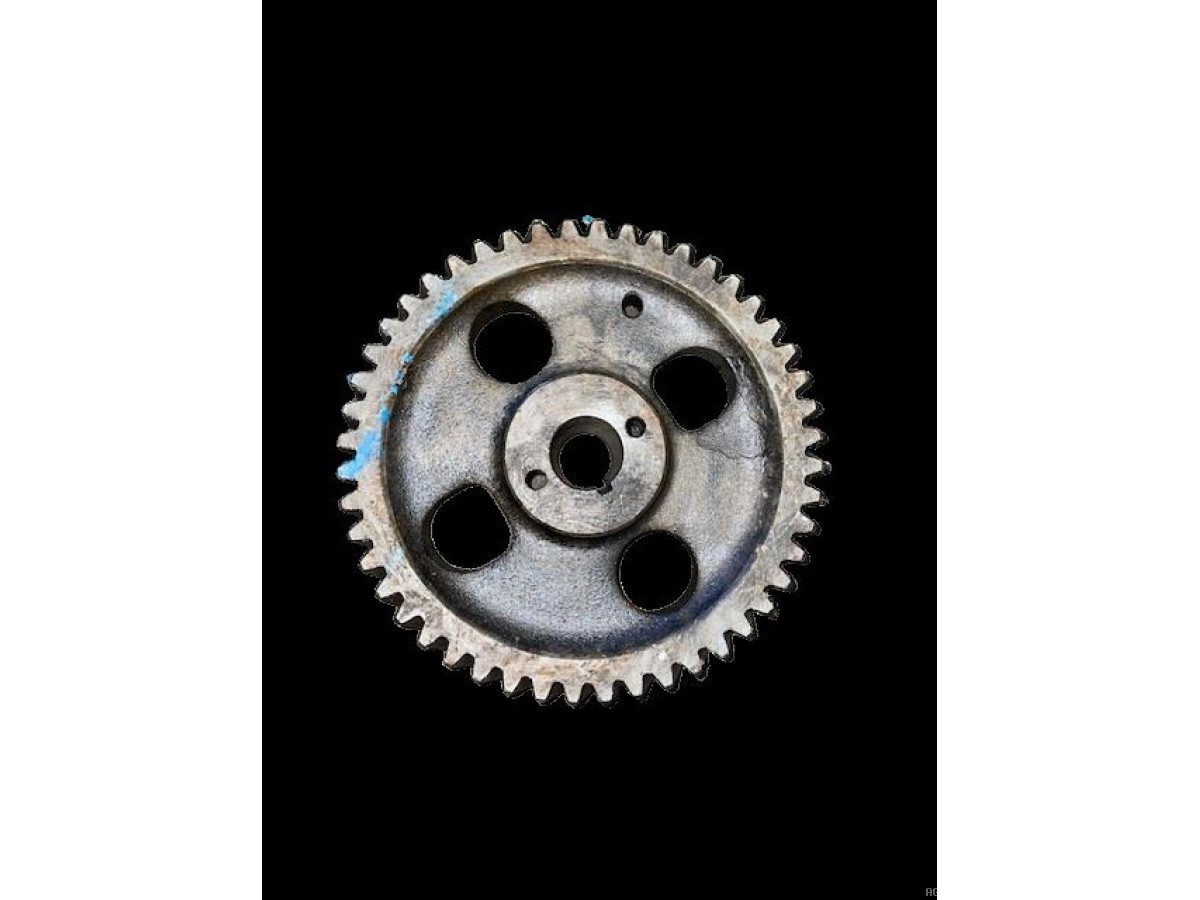 PIGNON DE POMPE INJECTION Z48