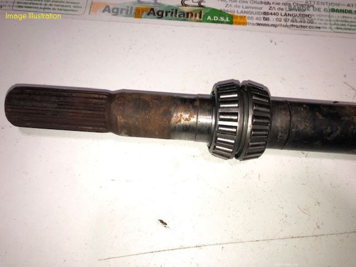 ARBRE D'ENTRAINEMENT 